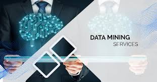 Data Mining Services