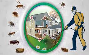 Pest Control Services