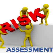 Risk Assessment Services