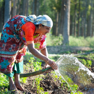 Agri Gujarat - Scheme