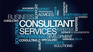 Consultant Services