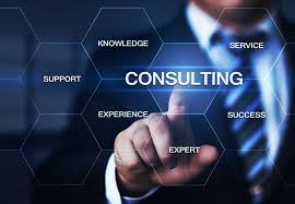 Consultant Services