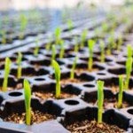 AgTech Venture Capital Firms