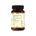 GIR Shatamruta capsule (60 capsule)