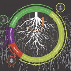 Plant Growth Regulators (PGRs)