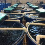 Aquaculture Equipment & Supplies