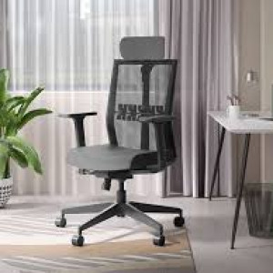 Ergonomic Office Chair