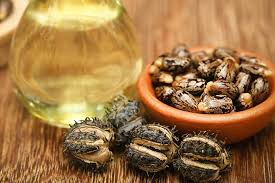 Castor Oil