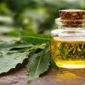 Neem Oil