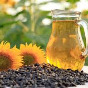 Sunflower Oil