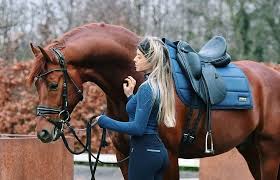 Equestrian Products