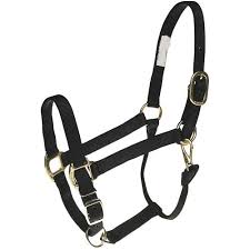 Halters