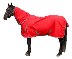 Horse Rugs