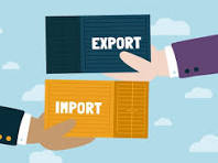 Export & Import License