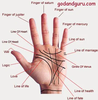 Palmistry Services