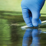 Water Quality Analysis