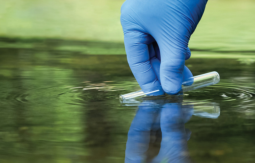 Water Quality Analysis