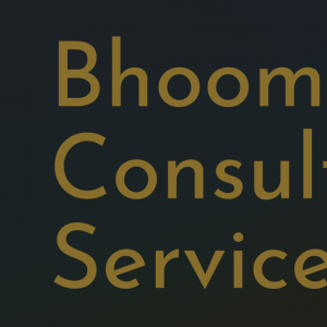 consultant services
