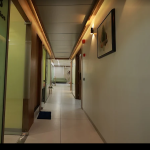 Orthopedic surgeon