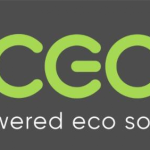 Electronics Company
