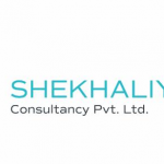 Charted Accountant