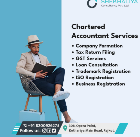 Charted Accountant