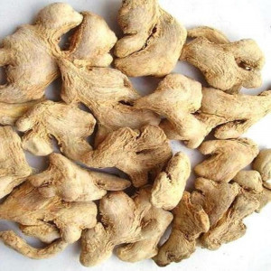 Dry Ginger