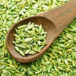 Fennel Seeds