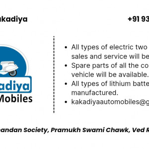 Electric Vehicle's