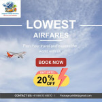 Tours & Travels