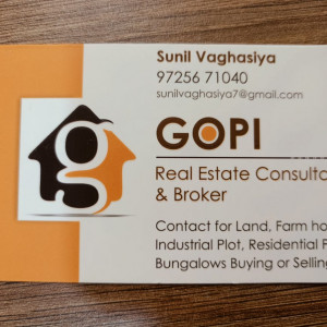 Real Estate Agent