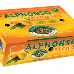 Corrugated box, Duplex boxes, Printed box