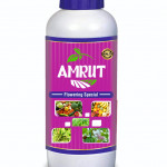 Insecticide