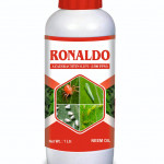 Insecticide