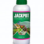 Insecticide