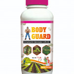 Insecticide