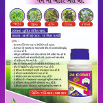 Insecticide