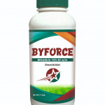 Insecticide