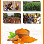 Organic Products
